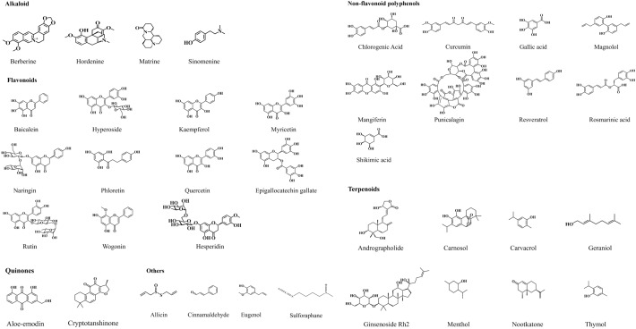 Natural phytochemical-based strategies for antibiofilm applications.