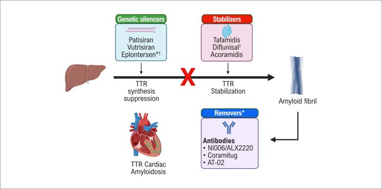 Patisiran in the Treatment of Cardiac Amyloidosis: Good for the World and Good for Brazil.