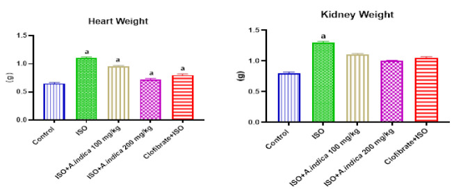 Methanol leaf extract of <i>Azadirachta</i> <i>indica</i> mitigates isoproterenol-induced myocardial infarction through the modulation of oxidative stress, and PPARα and BCL2 signaling in rats.