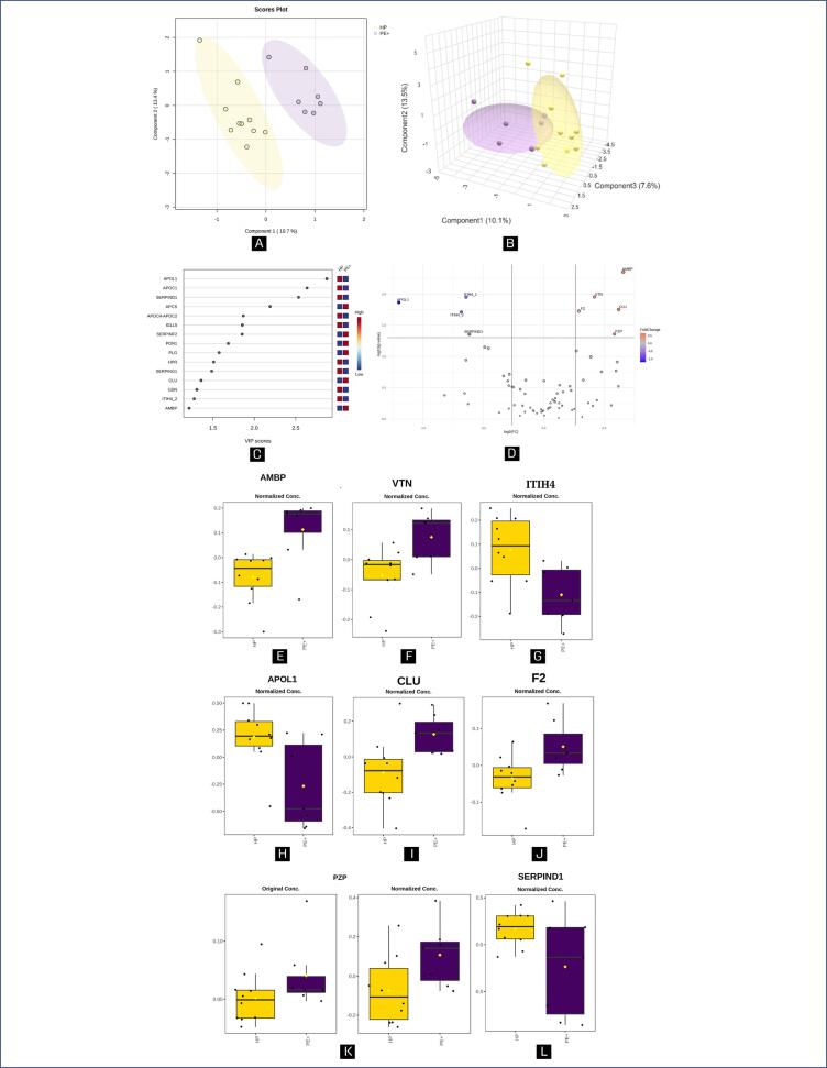 Pathophysiological mechanisms in severe preeclampsia: role of upregulated proteins in blood pressure, extracellular matrix and immunity.