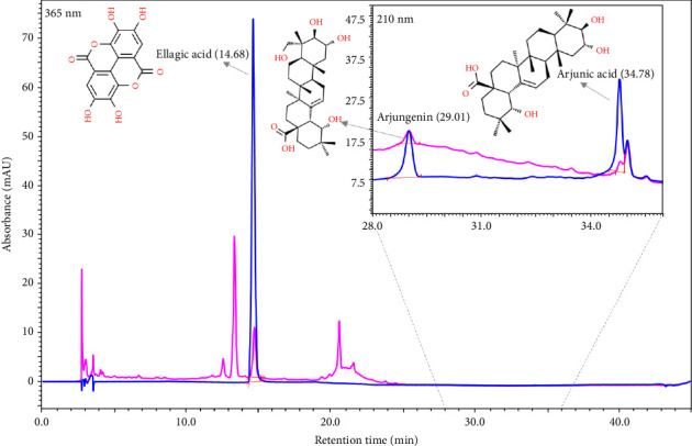 Herbo-Mineral Medicine, Cardiogrit Gold, Exhibits Protective Effects in <i>Caenorhabditis elegans</i> Model of Doxorubicin-Induced Cardiotoxicity.