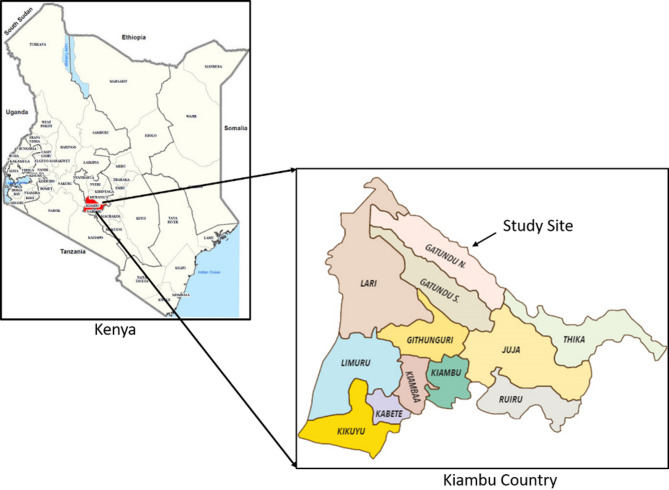 Farmer field schools as interventions to reduce the need for antimicrobials in agrifood systems: a longitudinal analysis of layer farmer field school graduates and non-graduates in Kenya.