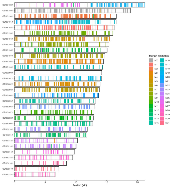 The genome sequence of the Cranberry Fritillary, <i>Boloria aquilonaris</i> (Stichel, 1908) (Lepidoptera: Nymphalidae).