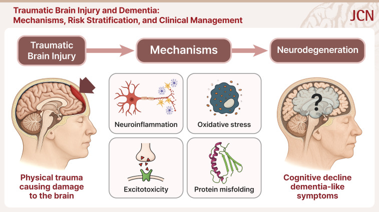 Traumatic Brain Injury and Dementia: Mechanisms, Risk Stratification, and Clinical Management.