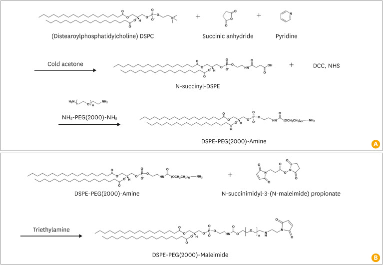 Evaluation of oral and injectable liposome-based vaccines with synthesized lipid for Japanese encephalitis virus in Sprague-Dawley rats.