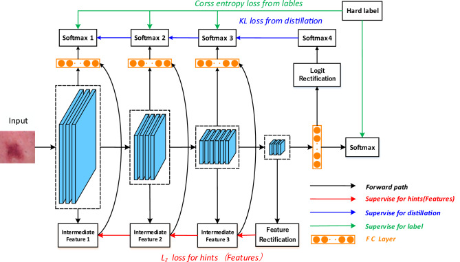 Stepwise self-knowledge distillation for skin lesion image classification.
