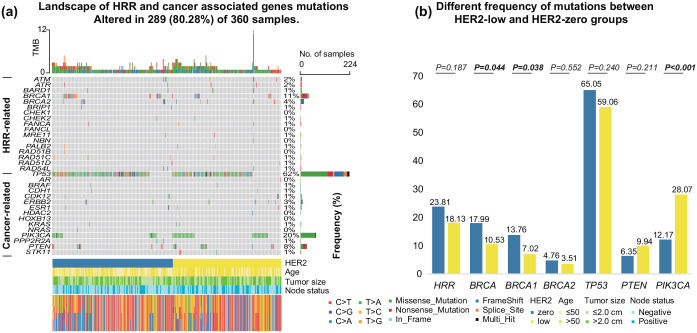 Clinicopathological and molecular significance of HER2-low expression in Asian women with triple-negative breast cancer.