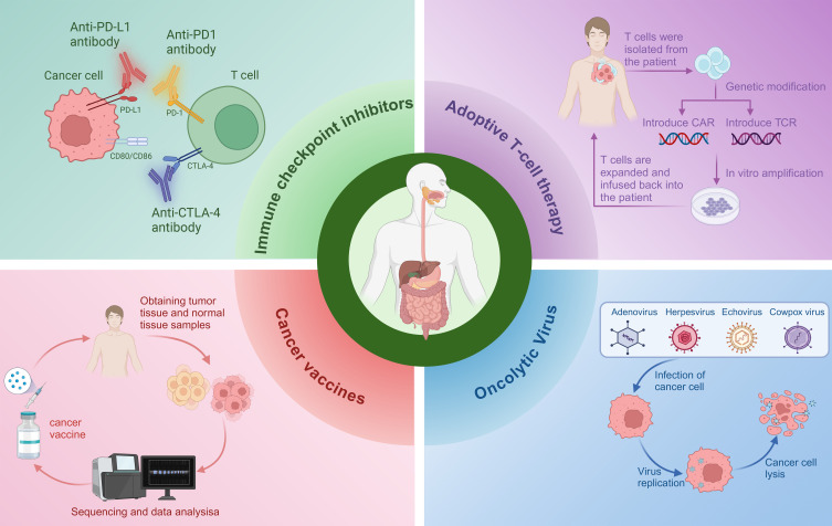 Immunotherapy in Gastrointestinal Cancers: Current Insights.