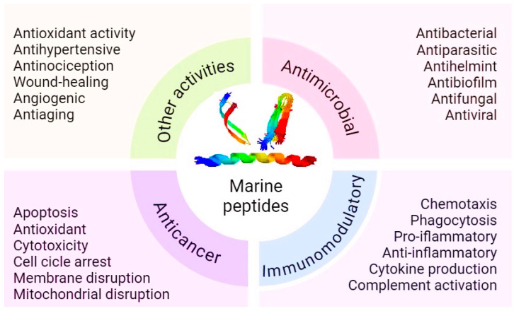 Multifaceted Marine Peptides and Their Therapeutic Potential.