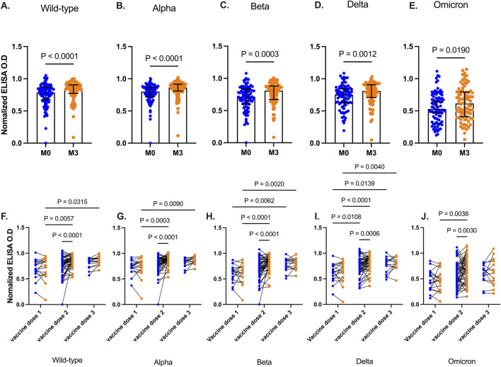 Functional antibody responses to SARS-CoV-2 variants before and after booster vaccination among adults in Ghana.