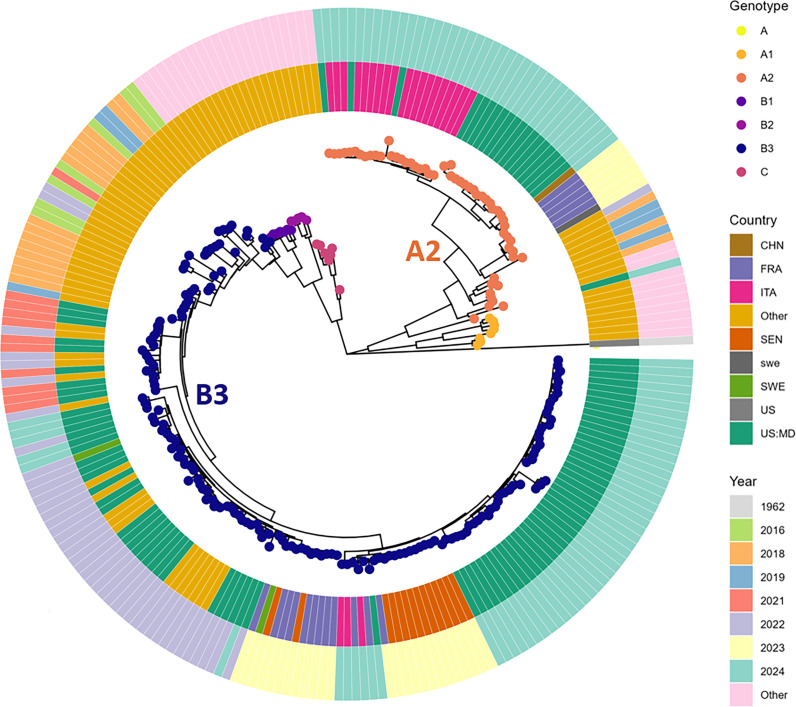 Enhanced genomic surveillance of enteroviruses reveals a surge in enterovirus D68 cases, the Johns Hopkins health system, Maryland, 2024.