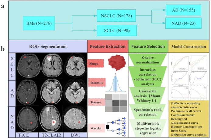 Identification of the pathological subtypes of lung cancer brain metastases with multiparametric MRI radiomics: A feasibility study.
