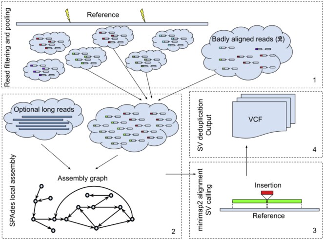 Blackbird: structural variant detection using synthetic and low-coverage long-reads.