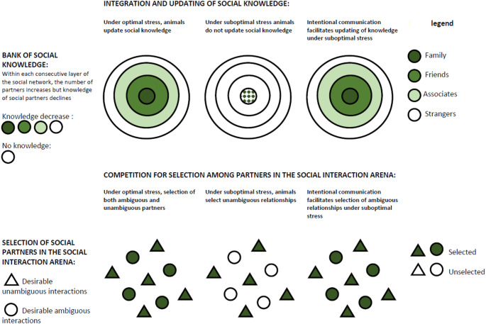 How can we use social network analysis to better understand Chimpanzee and Gorilla sociality and communication?