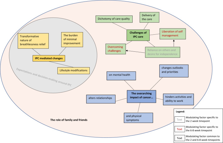 Psychosocial impact of living with an indwelling pleural catheter in patients with malignant pleural effusions: a thematic analysis.