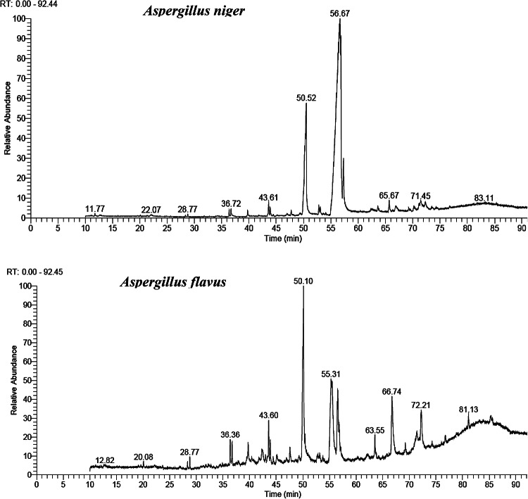 Bioinsecticidal activity of aspergillus-derived endophytes from Olea europaea against Culex pipiens: toxicity, histology, and GC-MS profiling.