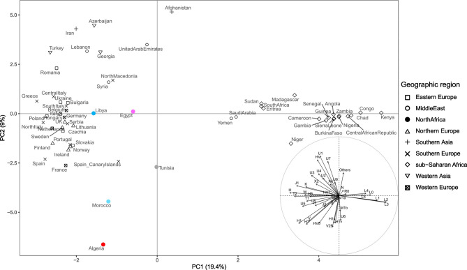 The origin of modern North Africans as depicted by a massive survey of mitogenomes.