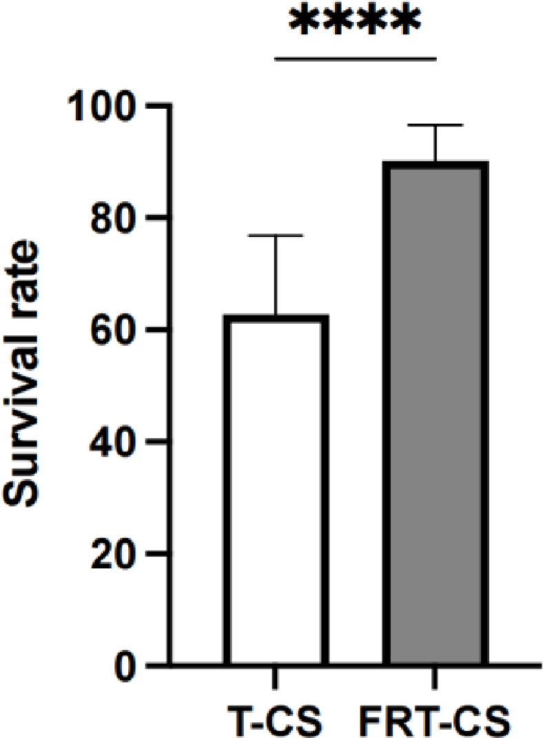 Optimized cesarean techniques, IVF use, and foster strain selection enhance germ-free mouse production efficiency.