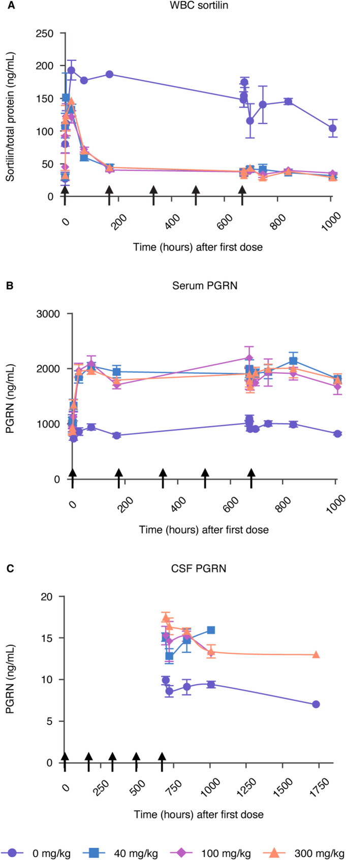 Development of AL101 (GSK4527226), a progranulin-elevating monoclonal antibody, as a potential treatment for Alzheimer's disease.