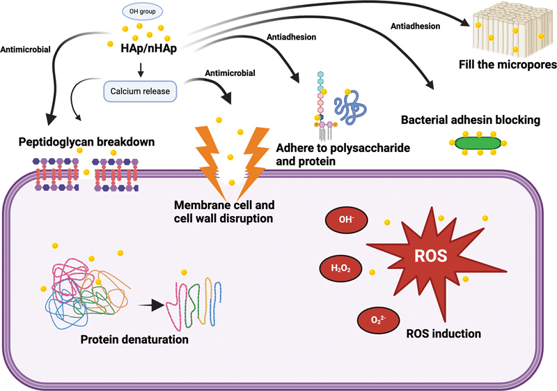 Antimicrobial and Antibiofilm Properties of Hydroxyapatite/Nano-Hydroxyapatite in Preventing Dental Caries: A Systematic Review.