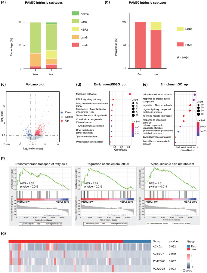 Clinicopathological and molecular significance of HER2-low expression in Asian women with triple-negative breast cancer.