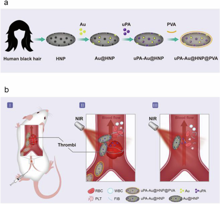 Thrombolytic therapy of human black hair and Au drug-loaded nanocapsules in vivo and in vitro based on near infrared II laser response