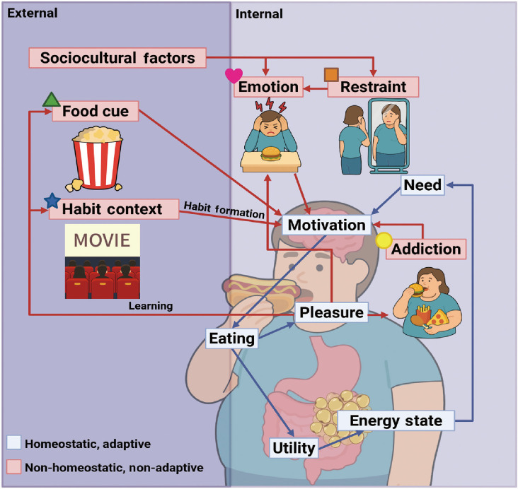 Hijacked Brain in Modern Obesity: Cue, Habit, Addiction, Emotion, and Restraint as Targets for Personalized Digital Therapy and Electroceuticals.