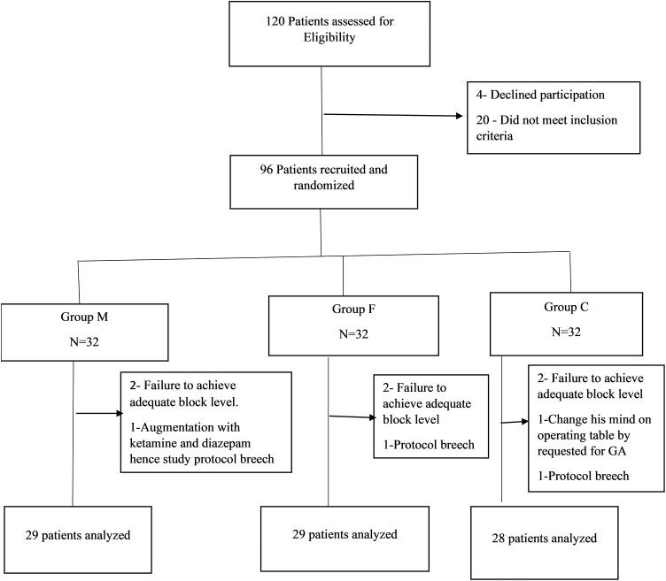Magnesium Sulphate Versus Fentanyl as Adjuncts to Epidural Anaesthesia for Lower Limb Orthopaedic Surgeries: A Comparative Study.