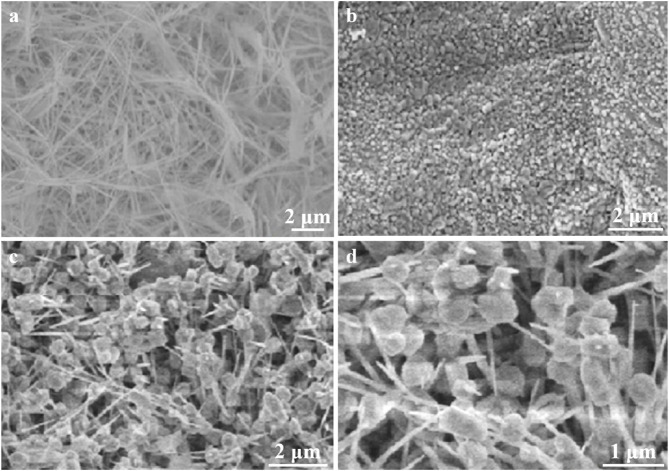 The Faraday efficiency of nitrate reduction reactions and selectivity of final product for electrocatalysts Cu/Co-OH/CF by tuning the content of Co source.