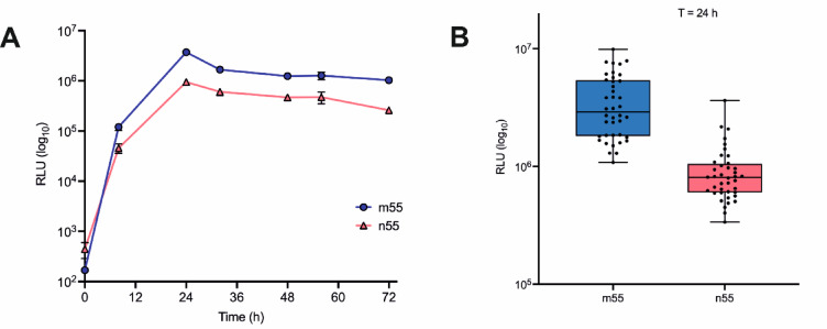 Identification of improved signal peptides for heterologous expression in Saccharomyces using a screen that exploits Gaussia luciferase.