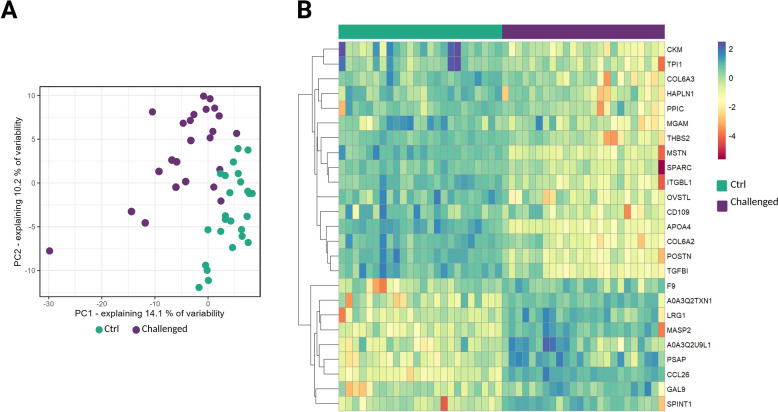 Proteomic profiling of dysbiosis-challenged broilers reveals potential blood biomarkers for intestinal health.