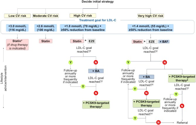 Expert opinion on the integration of combination therapy into the treatment algorithm for the management of dyslipidaemia: the integration of ezetimibe and bempedoic acid may enhance goal attainment.