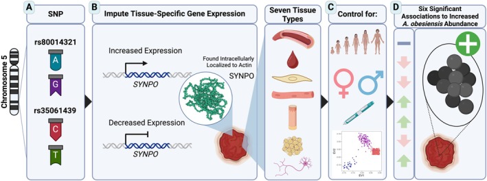 Heritable Tissue-Specific Gene Expression Associates With Chronic Wound Microbial Species.