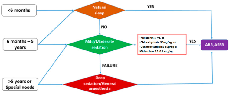 Sedation Methods in Paediatric Auditory Electrophysiologic Testing: A Narrative Review.