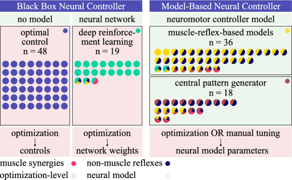 A PRISMA systematic review through time on predictive musculoskeletal simulations.