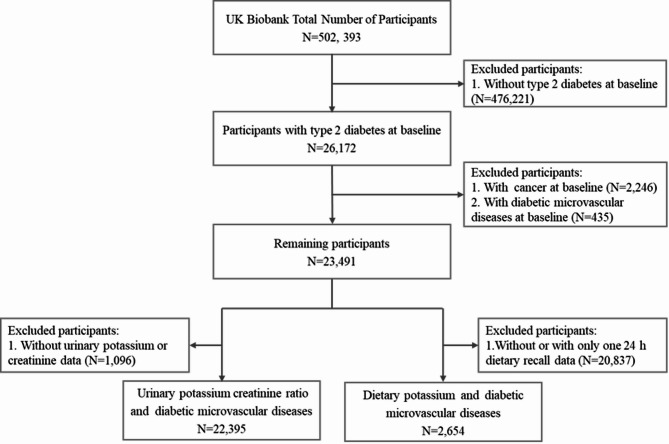 The association between urinary and dietary potassium and diabetic microvascular complications: insights from UK Biobank data.
