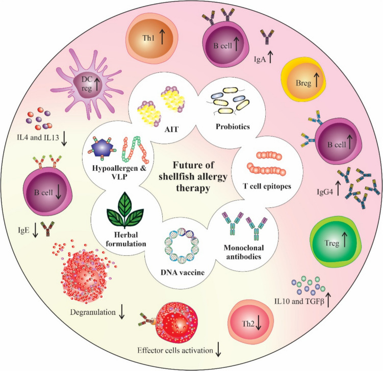 Advances in Shellfish Allergy Therapy: From Current Approaches to Future Strategies.