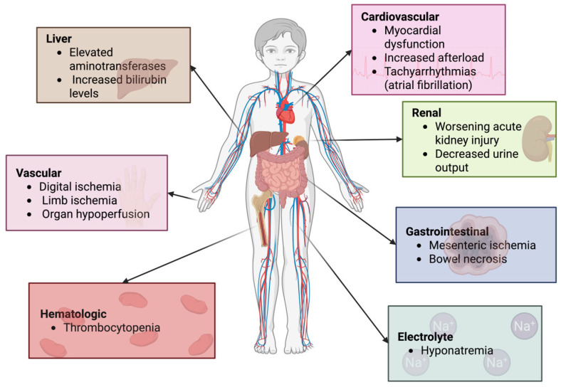 High-Stakes Hormone: Vasopressin Use as a Last-Line Therapy for Shock in Pediatrics-A Narrative Review.