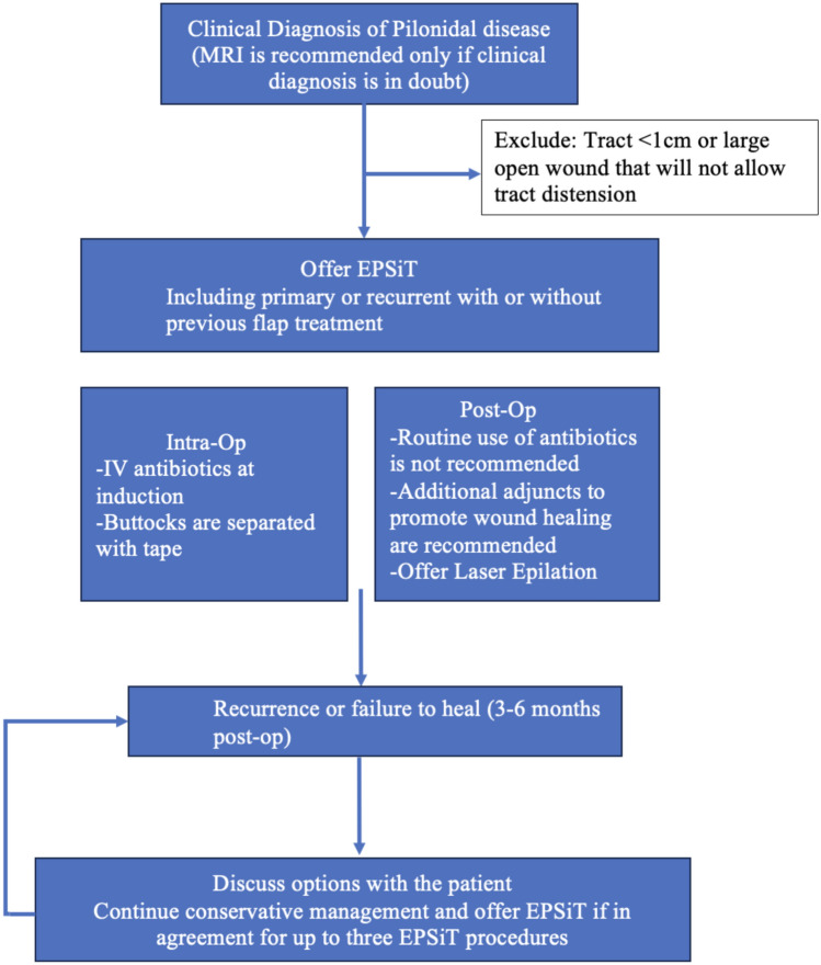 The application of EPSiT in pilonidal sinus disease: an international Delphi consensus study endorsed by the Association of Laparoscopic Surgeons of Great Britain and Ireland (ALSGBI).