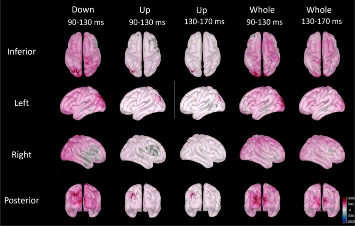 Shaping the Visual Mismatch Response: The Influence of Exogenous Components and Stimulus Placement.