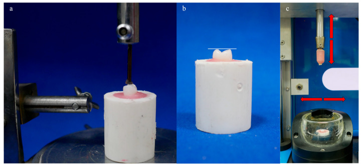 In-Vitro Assessment of Artificial Tooth Material Wear Behavior Using 3D Wear Analysis.