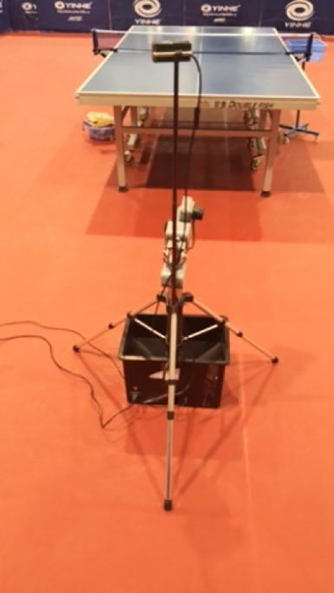 The effects of muscle fatigue on shoulder proprioception and forehand stroke accuracy in Chinese elite table tennis athletes.