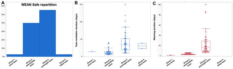 Weaning from mechanical ventilation in myasthenic crisis according to WEAN safe: most patients experience intermediate or prolonged weaning with no differences between early and late-onset compared to very-late onset myasthenia Gravis.