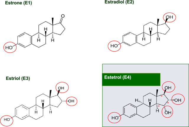 The rediscovery of estetrol and its implications for estrogen treatment.