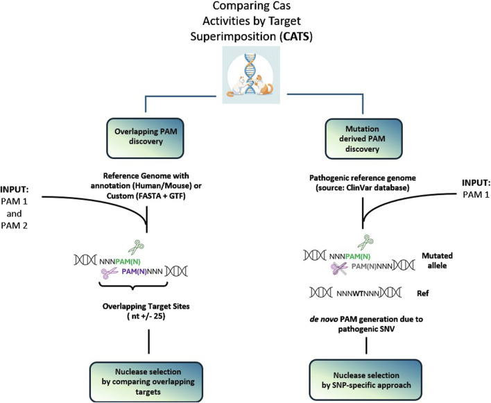 CATS: a bioinformatic tool for automated Cas9 nucleases activity comparison in clinically relevant contexts.