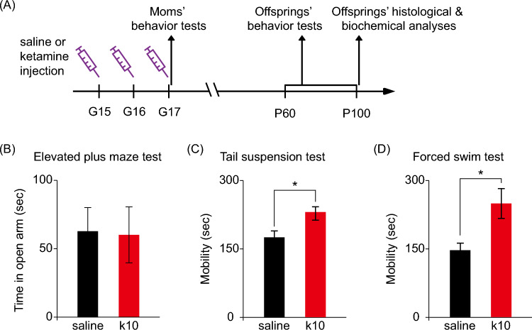 Sex-Specific Neuropsychiatric Effects of Subanesthetic Ketamine Exposure in Pregnant Mice and Their Offspring.