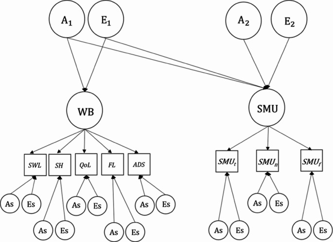 The Association Between Frequency of Social Media Use, Wellbeing, and Depressive Symptoms: Disentangling Genetic and Environmental Factors.
