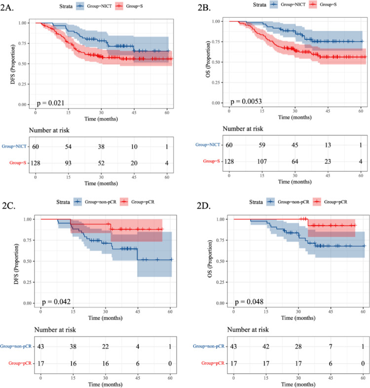 Neoadjuvant immunochemotherapy in locally advanced esophageal squamous cell carcinoma: a retrospective study with 2-year survival analysis.