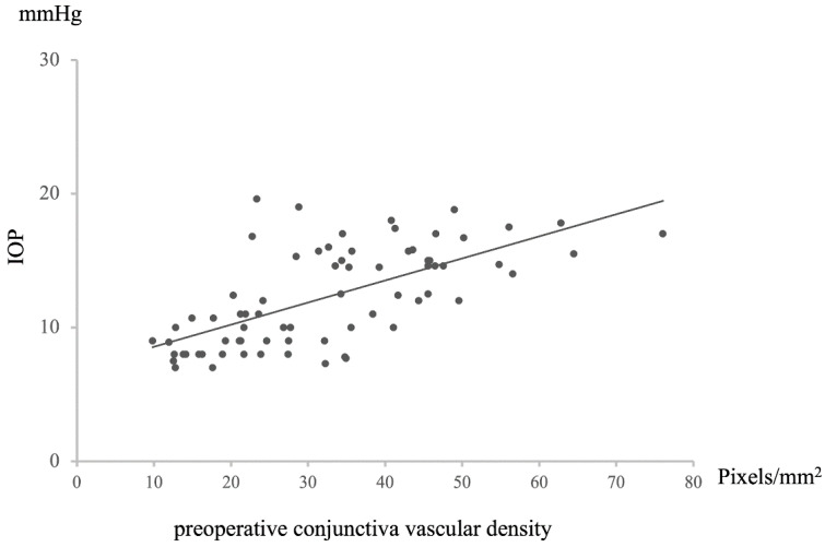 Impact of Preoperative Conjunctival Vascular Area on Surgical Outcomes in Trabeculectomy with Mitomycin C for Glaucoma: A Comprehensive Analysis.