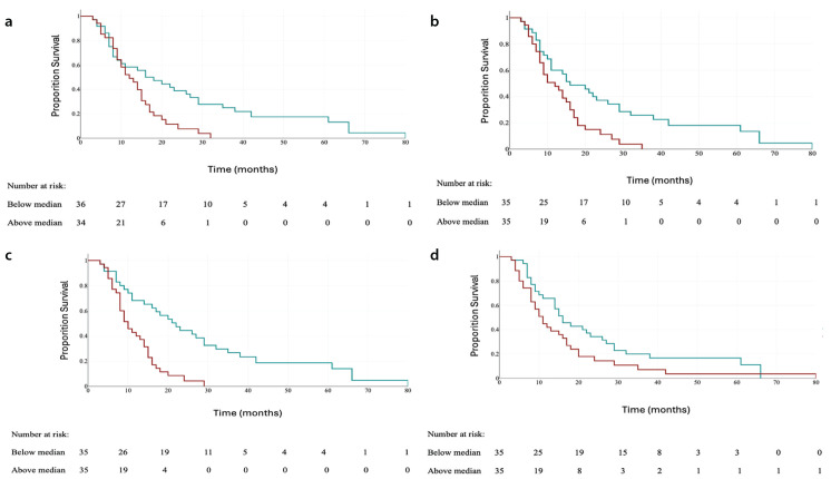 Evaluating the prognostic impact of inflammatory markers on treatment outcomes in patients with intrahepatic cholangiocarcinoma undergoing radioembolization